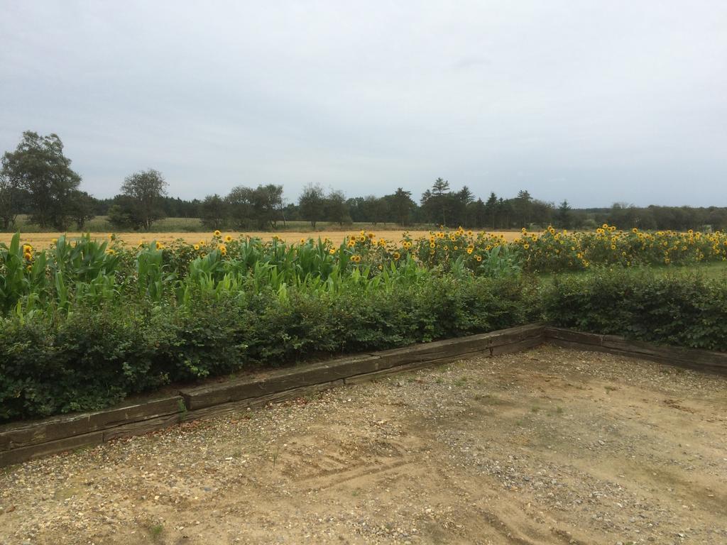 Kratgaardens Apartment Herning Ngoại thất bức ảnh
